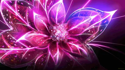 Vibrant Vibrant Wallpaper Nature Wallpaper 4K 2560x1440 Hd, Wallpaper, Of, A, Vibrant, Digital, Art, Flower, Glowing, Pink, Purple, Hues, White, Orange, Ultrawide, QHD