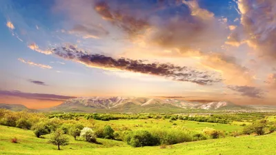 Calm Hdr Wallpaper Nature Wallpaper 4K 2560x1440 Hdr, Nature, Landscape, Featuring, A, Green, Field, With, Scattered, Trees, Under, Dramatic, Yellow, White, Ultrawide, QHD