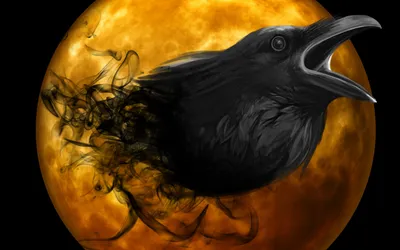 Raven Head Glowing Space Wallpaper 4K 2880x1800 A, Striking, Hd, Wallpaper, Featuring, Raven's, Head, Raven, 039, Against, Glowing, Orange, Purple, Ultrawide, QHD
