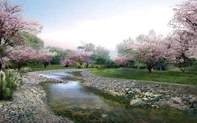 Serene Serene Wallpaper Nature Wallpaper 4K 1920x1200 Hd, Desktop, Wallpaper, Featuring, A, Serene, Park, With, Stream, Surrounded, Blossoming, Sakura), White, Ultrawide, Full HD