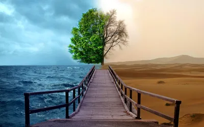 Moody Environment Wallpaper Abstract Wallpaper 4K 2880x1800 White