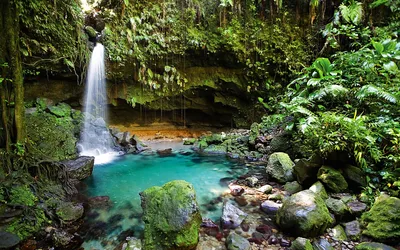 Serene Waterfall Cascades Crystal Nature Wallpaper 4K 1920x1200 A, Serene, Waterfall, Cascades, Into, Crystal-clear, Pool, Surrounded, Lush, Greenery, Vibrant, Foliage, White, Gray, Ultrawide, Full HD