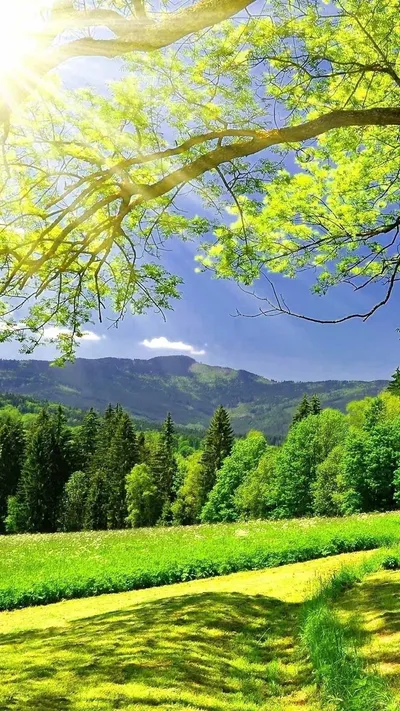 Bright Landscape Wallpaper Nature Wallpaper 4K 1080x1920 Gray, Pink