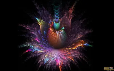 Super Definition Images Abstract Wallpaper 4K 1920x1200 Brown, Gray