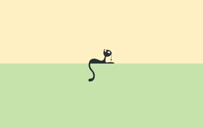 Minimalist Black Cat Playfully Minimal Wallpaper 4K 2560x1600 A, Minimalist, Hd, Desktop, Wallpaper, Featuring, Black, Cat, Playfully, Lounging, Against, Soft, Gray, White, Ultrawide, QHD