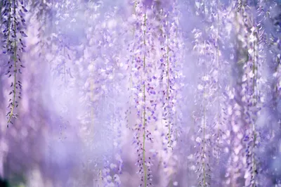 Bright General Wallpaper Abstract Wallpaper 4K 4096x2726 Wallpaper, General, 4096x2726, White, Gray, Ultrawide, 4k