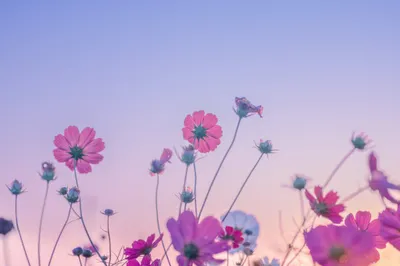 Crisp General Wallpaper Abstract Wallpaper 4K 4096x2732 Wallpaper, General, 4096x2732, Gray, Pink, Landscape, 4k