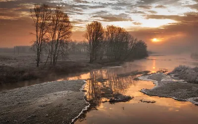 Misty Foggy Wallpaper Nature Wallpaper 4K 1920x1200 Hd, Pc, Desktop, Wallpaper, Foggy, Riverscape, At, Sunrise, Bare, Trees, Mirrored, Calm, White, Gray, Ultrawide, Full HD