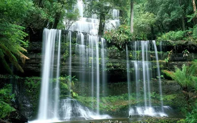 Lush Green Ferns Trees Surrounding Nature Wallpaper 4K 1920x1200 A, Stunning, Hd, Wallpaper, Featuring, Lush, Green, Ferns, Trees, Surrounding, Serene, Waterfall, White, Ultrawide, Full HD