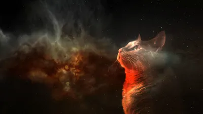 Vibrant Artistic Wallpaper Space Wallpaper 4K 1920x1080 A, Stunning, Artistic, Depiction, Of, Cat, Gazing, Into, Cosmos, Blending, Animal, Imagery, Gray, Red, Ultrawide, Full HD