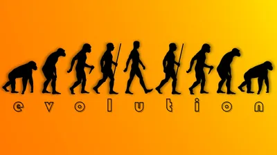 Calm Artistic Wallpaper Gradients Wallpaper 4K 1920x1080 Artistic, Evolution, Scene, History, Of, Primate-to-human, Silhouettes, Across, Orange, Gradient, Text, Purple, Ultrawide, Full HD