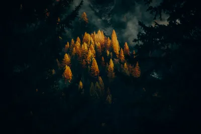 General 5760x3840 Abstract Abstract Wallpaper 4K 5760x3840 Wallpaper, General, 5760x3840, Brown, Landscape, 4k