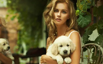 Misty Woman Wallpaper Abstract Wallpaper 4K 1920x1200 A, Woman, Model, With, Wavy, Blonde, Hair, Holding, Golden, Retriever, Puppy, Amidst, White, Orange, Gray, Ultrawide, Full HD