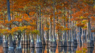 Bold General Wallpaper Abstract Wallpaper 4K 3840x2160 Wallpaper, General, 3840x2160, Brown, Ultrawide, 4k