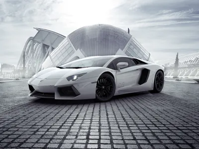 Dark White Wallpaper Cars Wallpaper 4K 7216x5412 White, Lamborghini, Aventador, Supercar, Showcased, In, Front, Of, Modern, Architectural, Structures, Captured, Landscape, 4k