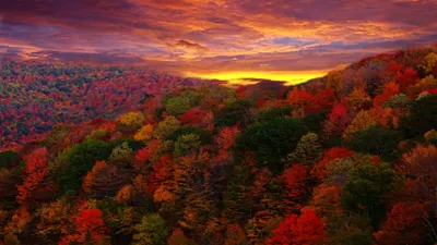 Vibrant Autumn Landscape Nature Wallpaper 4K 1920x1080 A, Vibrant, Autumn, Landscape, Featuring, Trees, In, Stunning, Fall, Colors, Set, Against, Brown, Orange, Ultrawide, Full HD
