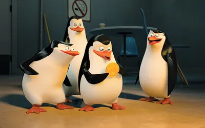 Four Animated Penguins Abstract Wallpaper 4K 1920x1200 Hd, Pc, Desktop, Wallpaper, Featuring, The, Four, Animated, Penguins, Movie, Madagascar, Dimly, Gray, Orange, White, Ultrawide, Full HD