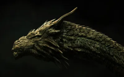 Dark Detailed Close Dragon Head Fantasy Wallpaper 4K 1920x1200 Hd, Desktop, Wallpaper, Featuring, A, Dark, Detailed, Close-up, Dragon), 039, Head, Exuding, Brown, Gray, Ultrawide, Full HD