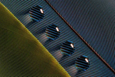 Bright Macro Wallpaper Abstract Wallpaper 4K 3840x2558 Macro, Photography, Of, Water, Drops, On, A, Feather, Showcasing, Intricate, Textures, Vibrant, Brown, Ultrawide, 4k