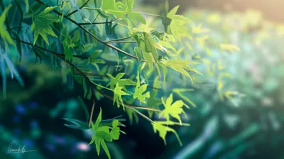 Anime Depicting Tranquil Nature Nature Wallpaper 4K 3840x2160 Hd, Anime, Desktop, Wallpaper, Depicting, A, Tranquil, Nature, Scene, Green, Leaves, Soft, Gray, Pink, Ultrawide, 4k