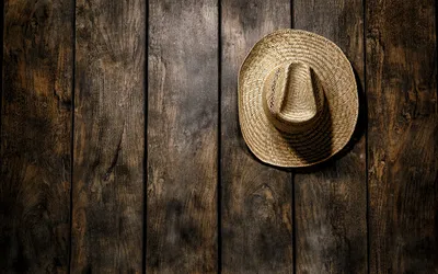 Sleek Man Wallpaper Abstract Wallpaper 4K 1920x1200 Man, Made, Hat, Hd, Desktop, Wallpaper, Background, Gray, Brown, Ultrawide, Full HD