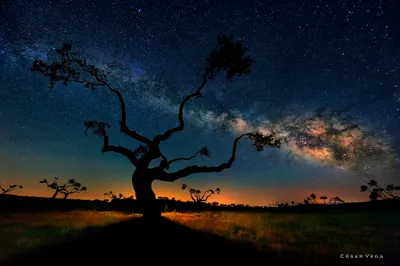 Calm Serene Wallpaper Nature Wallpaper 4K 2048x1367 A, Serene, Night, Landscape, Featuring, Silhouetted, Tree, Under, Glowing, Milky, Way, Capturing, Brown, Orange, Full HD