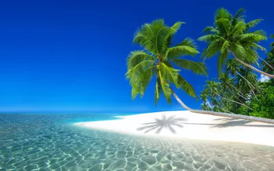 Serene Tropical Palm Nature Wallpaper 4K 3840x2400 A, Serene, Tropical, Scene, Featuring, Palm, Trees, On, Sandy, Beach, Crystal-clear, Sea, White, Red, Ultrawide, 4k