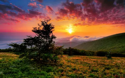 Vibrant Sunset Behind Nature Wallpaper 4K 1920x1200 A, Stunning, Hd, Wallpaper, Featuring, Vibrant, Sunset, Behind, Majestic, Mountains, Foreground, Lush, Purple, Orange, Brown, Ultrawide, Full HD