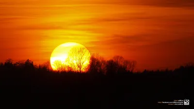Golden Bright Wallpaper Abstract Wallpaper 4K 1920x1080 Orange