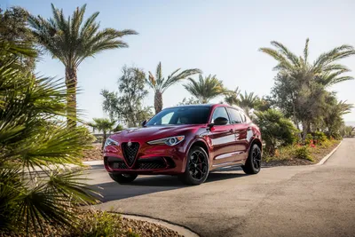 Suv Alfa Romeo Car Cars Wallpaper 4K 3000x2000 Suv, Alfa, Romeo, Car, Vehicle, Stelvio, Quadrifoglio, Desktop, White, Landscape, QHD