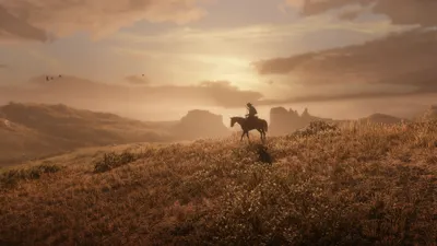 Red Dead Redemption Games Wallpaper 4K 3840x2160 Gray
