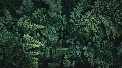 General 4640x2610 Abstract Abstract Wallpaper 4K 4640x2610 Wallpaper, General, 4640x2610, Brown, Ultrawide, 4k