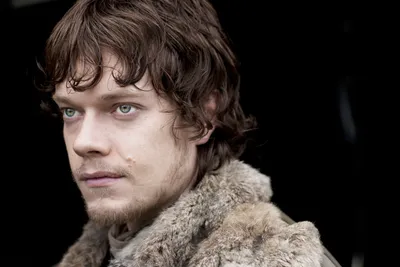 Alfie Allen Theon Greyjoy Show Games Wallpaper 4K 5616x3744 Alfie, Allen, Theon, Greyjoy, Tv, Show, Game, Of, Thrones), Desktop, Gray, Landscape, 4k