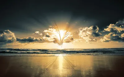 Serene Artistic Wallpaper Nature Wallpaper 4K 2560x1600 Artistic, Hd, Nature, Wallpaper, Featuring, A, Radiant, Sunrise, Over, Ocean, Glowing, Tree, Orange, Gray, Ultrawide, QHD