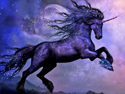 Fantasy Majestic Black Unicorn Starry Space Wallpaper 4K 2048x1536 Hd, Fantasy, Desktop, Wallpaper, Showcasing, A, Majestic, Black, Unicorn, Under, Starry, Night, Gray, Landscape, Full HD