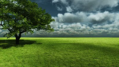 Crisp Widescreen Wallpaper Nature Wallpaper 4K 1920x1080 Pink, Gray