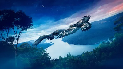 Crisp Majestic Wallpaper Nature Wallpaper 4K 1920x1080 A, Majestic, Eagle, Soars, Over, Vibrant, Fantasy, Landscape, Lush, Trees, Sparkling, Blue, White, Brown, Ultrawide, Full HD