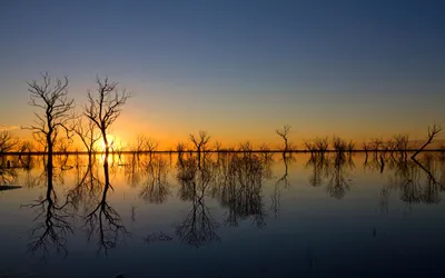 Misty Serene Wallpaper Nature Wallpaper 4K 2560x1600 Hd, Desktop, Wallpaper, Of, A, Serene, Sunset, Over, Lake, Bare, Trees, Reflecting, Gray, Brown, Ultrawide, QHD