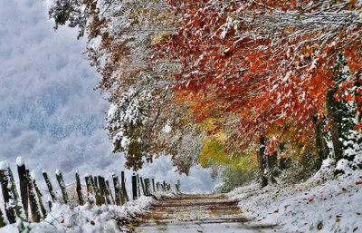Dreamy Serene Wallpaper Nature Wallpaper 4K 2048x1319 A, Serene, Winter, Landscape, Featuring, Snowy, Path, Bordered, Vibrant, Fall-colored, Trees, Creating, Gray, Ultrawide, Full HD