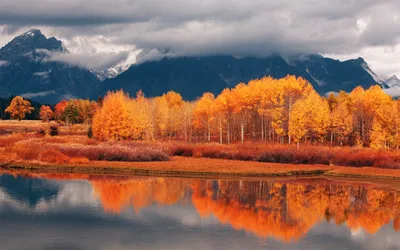 Vibrant Autumn Trees Reflected Nature Wallpaper 4K 2560x1600 Hd, Pc, Desktop, Wallpaper, Showcasing, Vibrant, Autumn, Trees, Reflected, Calm, Lake, Misty, Gray, Ultrawide, QHD