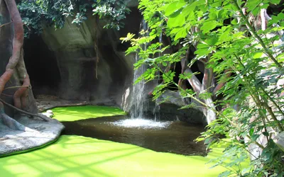 Bright Serene Wallpaper Nature Wallpaper 4K 2560x1600 Hd, Desktop, Wallpaper, Featuring, A, Serene, Man-made, Garden, Small, Waterfall, Flowing, Into, White, Ultrawide, QHD