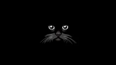 Misty Minimalist Wallpaper Minimal Wallpaper 4K 1920x1080 Minimalist, Hd, Desktop, Wallpaper, Featuring, An, Artistic, Black, Cat, Glowing, Eyes, Delicate, Brown, Blue, Gray, Ultrawide, Full HD