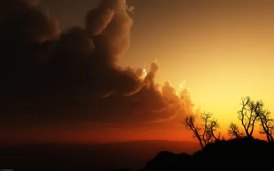 Vibrant Sunset Silhouetted Trees Nature Wallpaper 4K 2560x1600 A, Stunning, Hd, Desktop, Wallpaper, Featuring, Vibrant, Sunset, Silhouetted, Trees, Against, Dramatic, Brown, Ultrawide, QHD