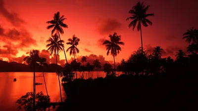 Nature Sunset Nature Nature Wallpaper 4K 1920x1080 Nature, Sunset, Hd, Desktop, Wallpaper, Background, Image, Red, Brown, Ultrawide, Full HD