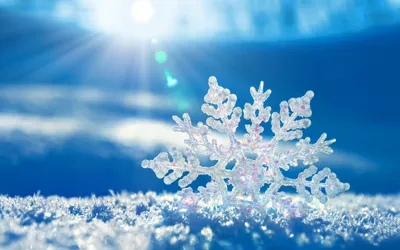 Calm Depicting Wallpaper Nature Wallpaper 4K 2560x1600 A, Stunning, Hd, Wallpaper, Depicting, Delicate, Snowflake, Snowy, Surface, Illuminated, Bright, Sunlight, White, Ultrawide, QHD