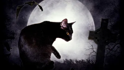 Dark Fantasy Black Cat Silhouetted Black/Dark Wallpaper 4K 1920x1080 A, Dark, Fantasy, Hd, Pc, Desktop, Wallpaper, Featuring, Black, Cat, Silhouetted, Against, White, Gray, Ultrawide, Full HD
