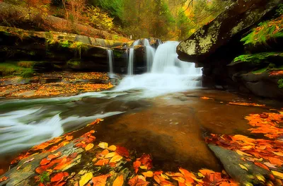 Moody Autumn Wallpaper Nature Wallpaper 4K 1920x1260 Hd, Pc, Desktop, Wallpaper/background:, Autumn, Forest, Waterfall, Cascading, Over, Mossy, Rocks, White, Ultrawide, Full HD