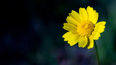 General 5456x3064 Abstract Abstract Wallpaper 4K 5456x3064 Wallpaper, General, 5456x3064, Purple, Yellow, Ultrawide, 4k