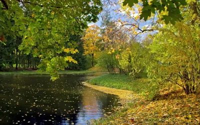Serene Park Tranquil Pond Surrounded Nature Wallpaper 4K 2560x1600 A, Serene, Park, Scene, Featuring, Tranquil, Pond, Surrounded, Colorful, Fall, Foliage, Reflecting, Brown, White, Ultrawide, QHD