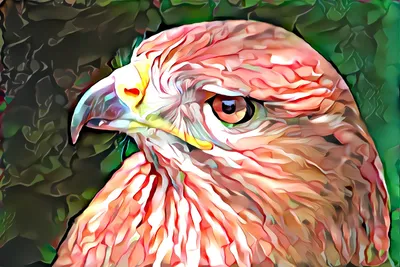 Dreamy Colorful Wallpaper Abstract Wallpaper 4K 4772x3184 Colorful, Artistic, Bird, By, Pbarlowart, White, Landscape, 4k